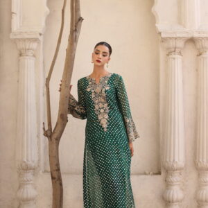 Beautiful Emerald Green Long Shirt